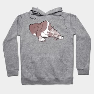 Kitty and puppy cuddles Hoodie